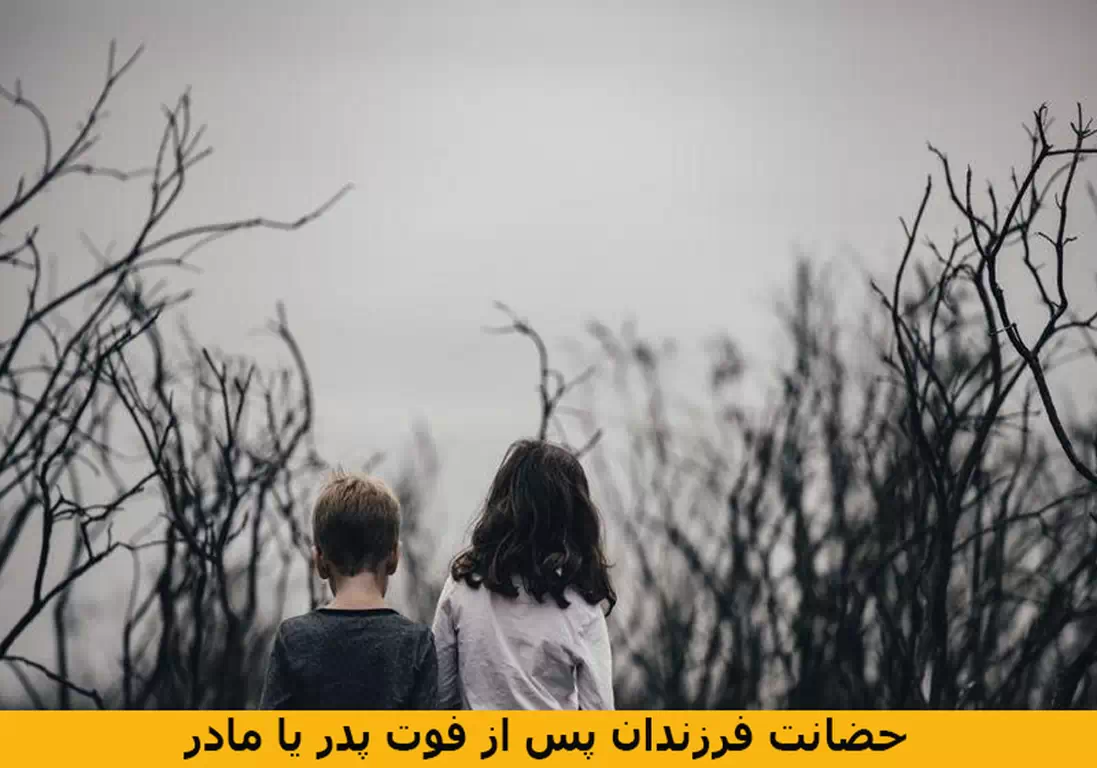 حضانت چیست؟