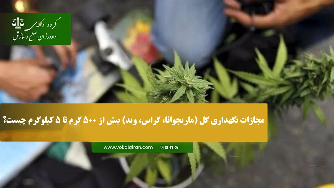 مجازات نگهداری گل