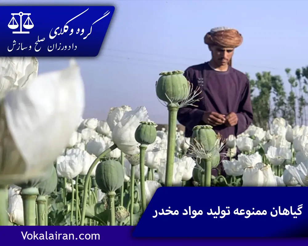 گیاهان ممنوعه تولید مواد مخدر